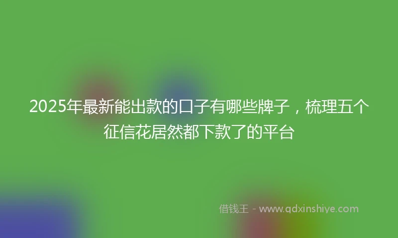 2025年最新能出款的口子有哪些牌子，梳理五个征信花居然都下款了的平台
