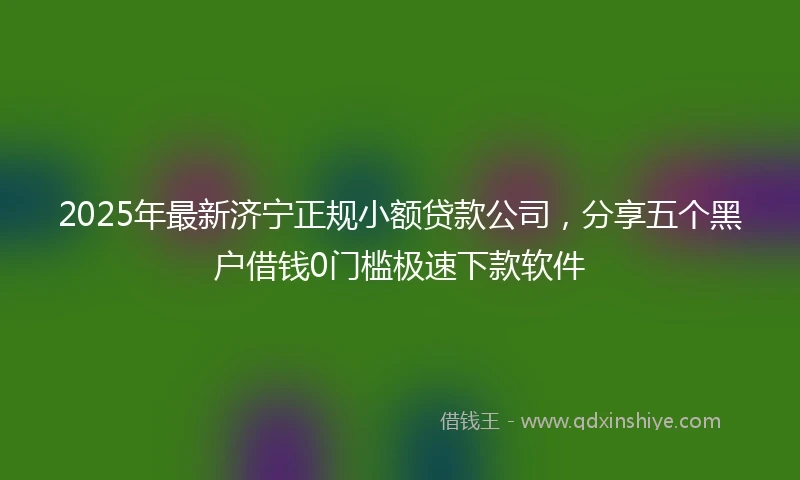 2025年最新济宁正规小额贷款公司，分享五个黑户借钱0门槛极速下款软件