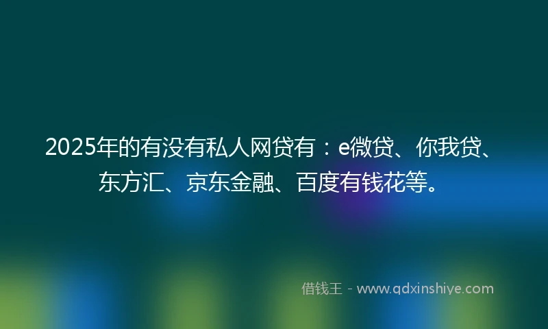 2025年的有没有私人网贷有：e微贷、你我贷、东方汇、京东金融、百度有钱花等。