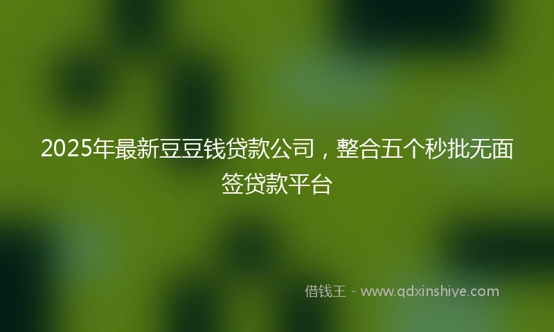 2025年最新豆豆钱贷款公司，整合五个秒批无面签贷款平台