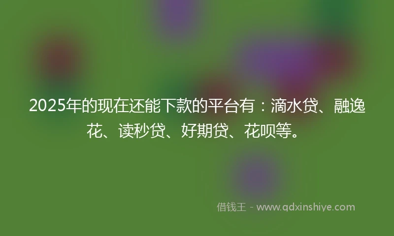 2025年的现在还能下款的平台有：滴水贷、融逸花、读秒贷、好期贷、花呗等。