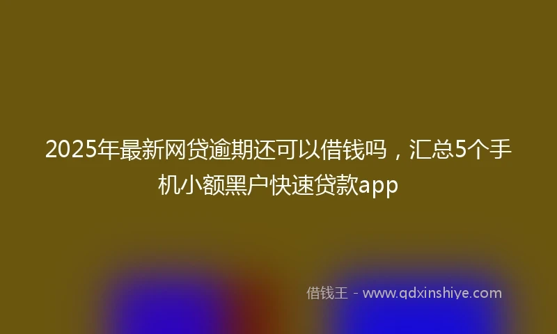 2025年最新网贷逾期还可以借钱吗，汇总5个手机小额黑户快速贷款app