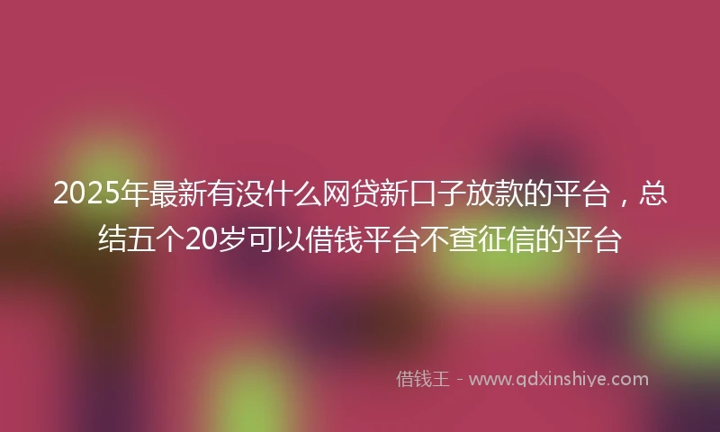 2025年最新有没什么网贷新口子放款的平台,总结五个20岁可以借钱平台不查征信的平台