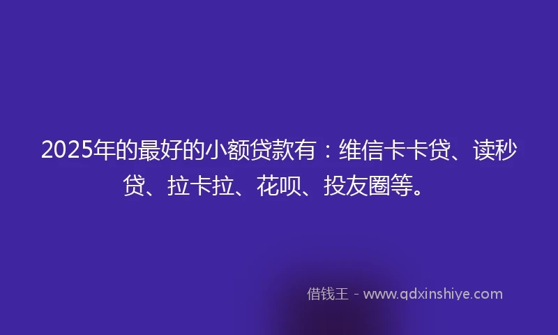 2025年的最好的小额贷款有：维信卡卡贷、读秒贷、拉卡拉、花呗、投友圈等。