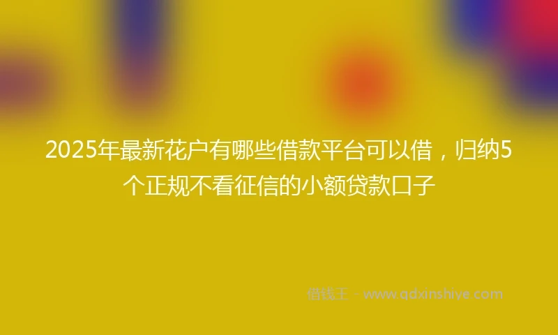 2025年最新花户有哪些借款平台可以借，归纳5个正规不看征信的小额贷款口子
