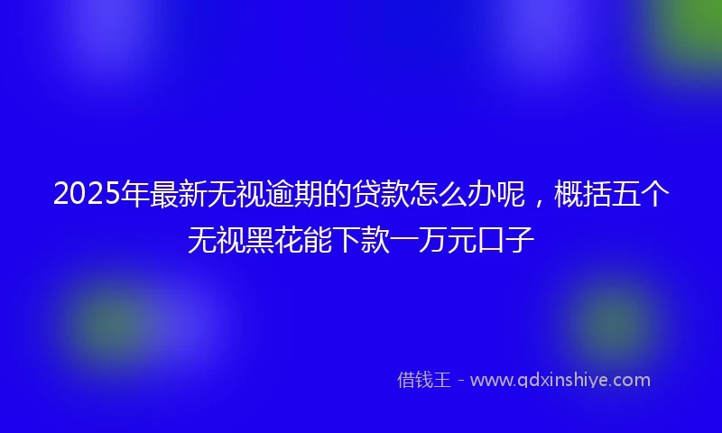 2025年最新无视逾期的贷款怎么办呢，概括五个无视黑花能下款一万元口子