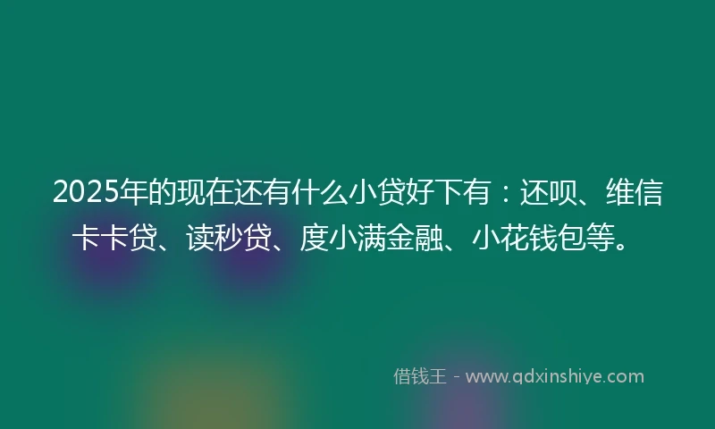 2025年的现在还有什么小贷好下有：还呗、维信卡卡贷、读秒贷、度小满金融、小花钱包等。