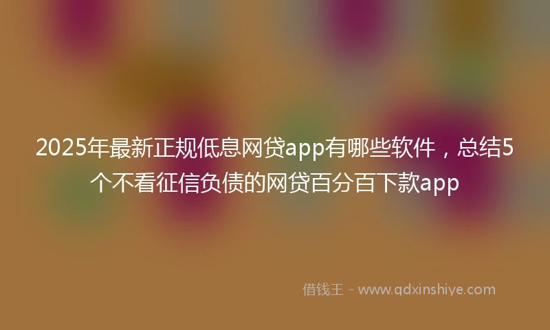 2025年最新正规低息网贷app有哪些软件，总结5个不看征信负债的网贷百分百下款app