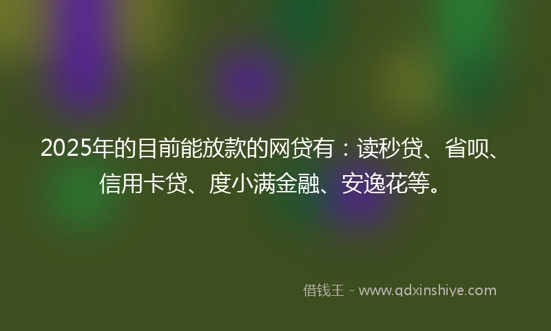 2025年的目前能放款的网贷有：读秒贷、省呗、信用卡贷、度小满金融、安逸花等。