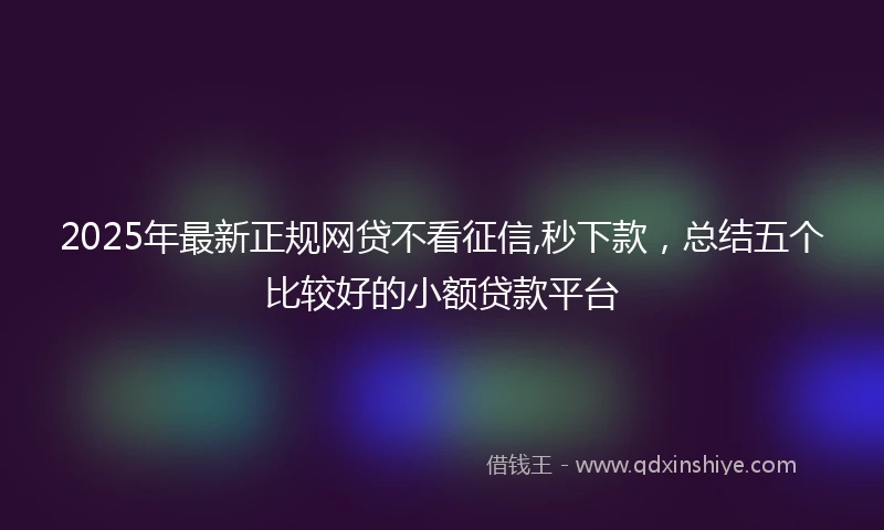 2025年最新正规网贷不看征信,秒下款，总结五个比较好的小额贷款平台