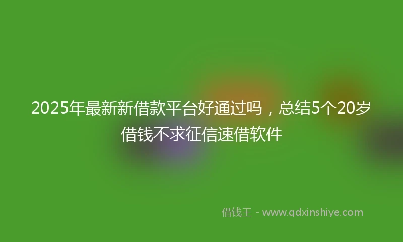 2025年最新新借款平台好通过吗，总结5个20岁借钱不求征信速借软件