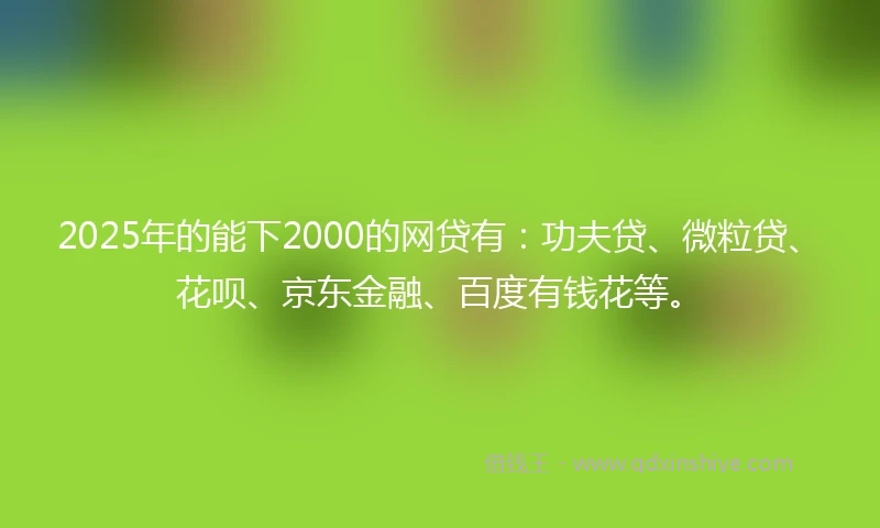 2025年的能下2000的网贷有：功夫贷、微粒贷、花呗、京东金融、百度有钱花等。