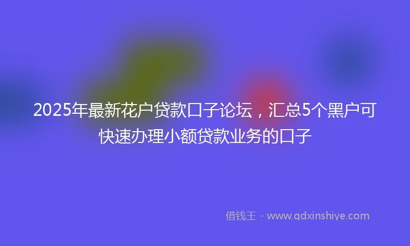 2025年最新花户贷款口子论坛，汇总5个黑户可快速办理小额贷款业务的口子