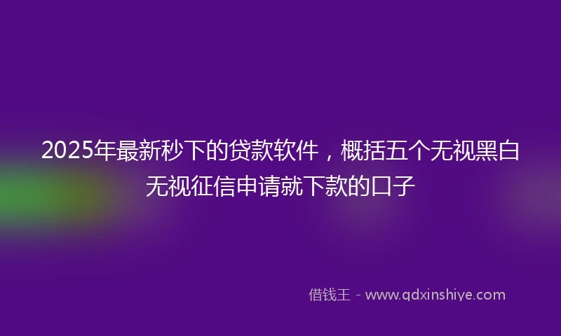 2025年最新秒下的贷款软件，概括五个无视黑白无视征信申请就下款的口子