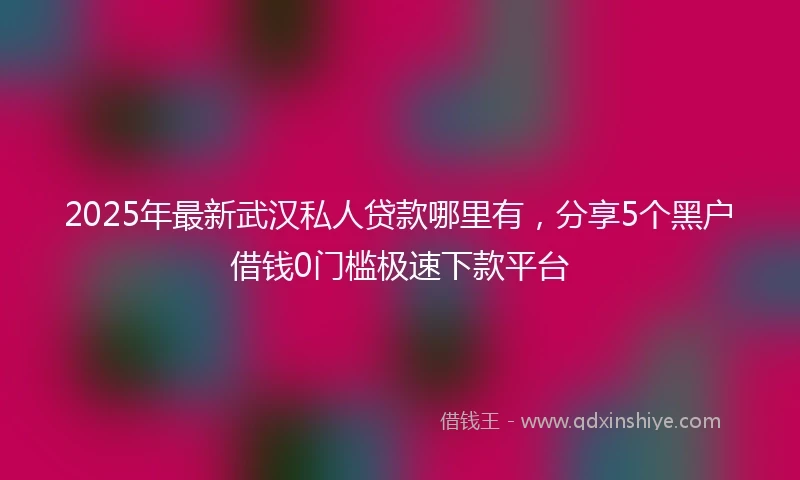 2025年最新武汉私人贷款哪里有，分享5个黑户借钱0门槛极速下款平台