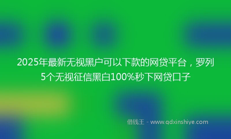 2025年最新无视黑户可以下款的网贷平台，罗列5个无视征信黑白100%秒下网贷口子