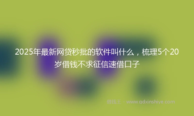 2025年最新网贷秒批的软件叫什么，梳理5个20岁借钱不求征信速借口子