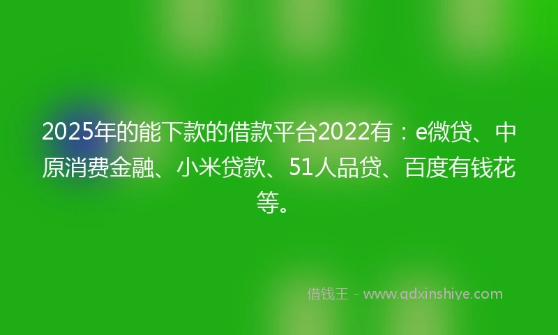 2025年的能下款的借款平台2022有：e微贷、中原消费金融、小米贷款、51人品贷、百度有钱花等。