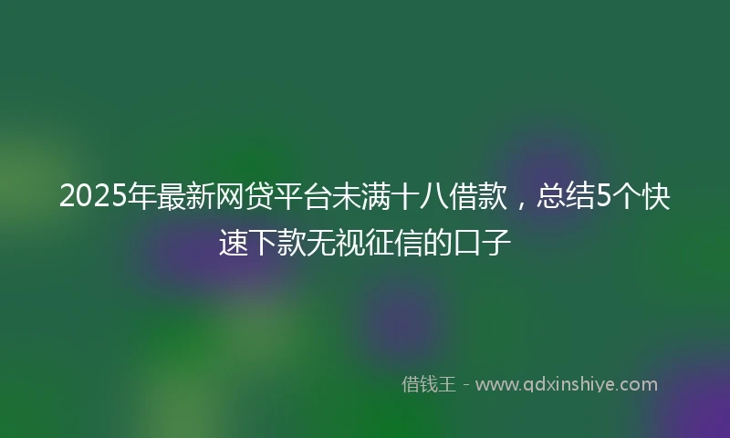 2025年最新网贷平台未满十八借款，总结5个快速下款无视征信的口子
