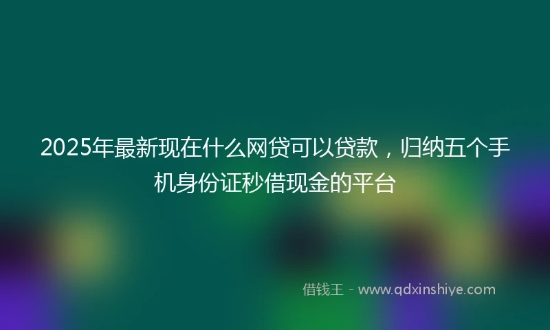 2025年最新现在什么网贷可以贷款，归纳五个手机身份证秒借现金的平台