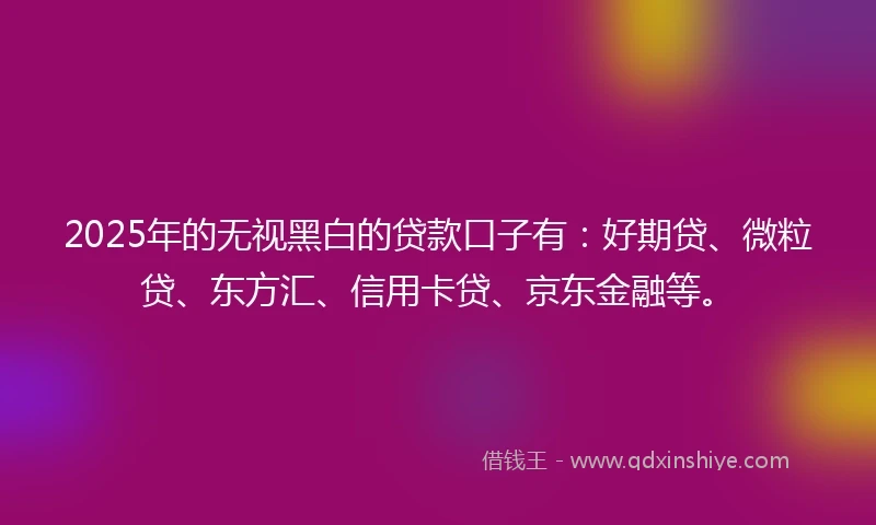 2025年的无视黑白的贷款口子有：好期贷、微粒贷、东方汇、信用卡贷、京东金融等。