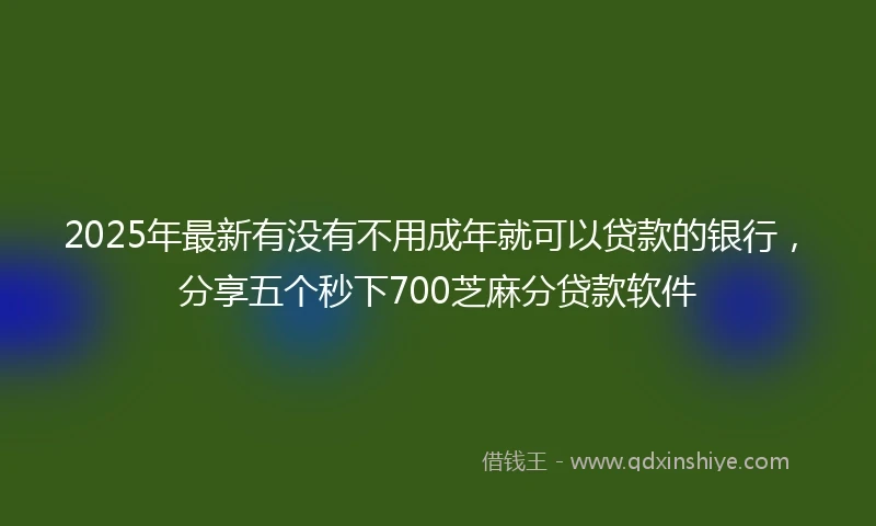 2025年最新有没有不用成年就可以贷款的银行，分享五个秒下700芝麻分贷款软件