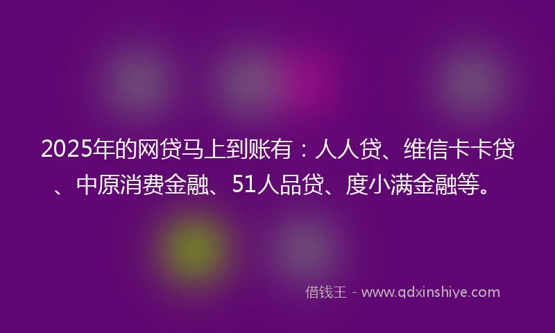 2025年的网贷马上到账有：人人贷、维信卡卡贷、中原消费金融、51人品贷、度小满金融等。