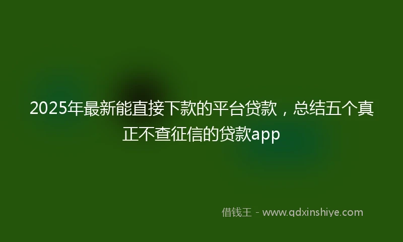 2025年最新能直接下款的平台贷款，总结五个真正不查征信的贷款app