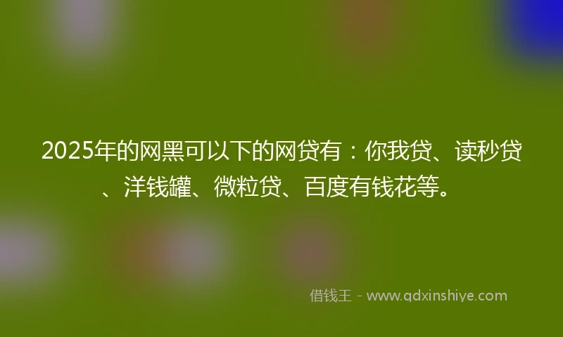 2025年的网黑可以下的网贷有：你我贷、读秒贷、洋钱罐、微粒贷、百度有钱花等。