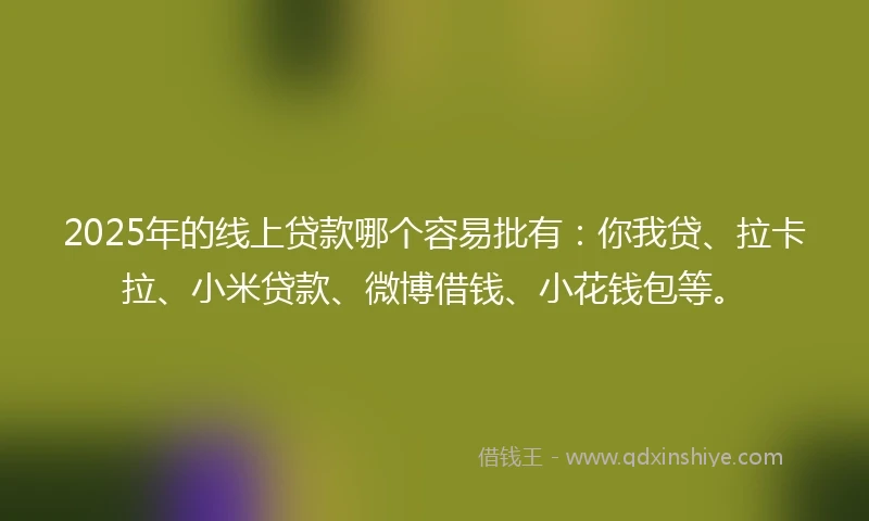 2025年的线上贷款哪个容易批有：你我贷、拉卡拉、小米贷款、微博借钱、小花钱包等。