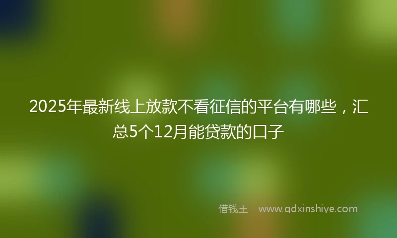 2025年最新线上放款不看征信的平台有哪些，汇总5个12月能贷款的口子