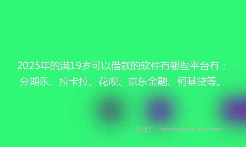 2025年的满19岁可以借款的软件有哪些平台有：分期乐、拉卡拉、花呗、京东金融、柯基贷等。