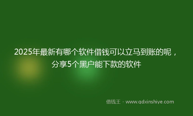 2025年最新有哪个软件借钱可以立马到账的呢，分享5个黑户能下款的软件