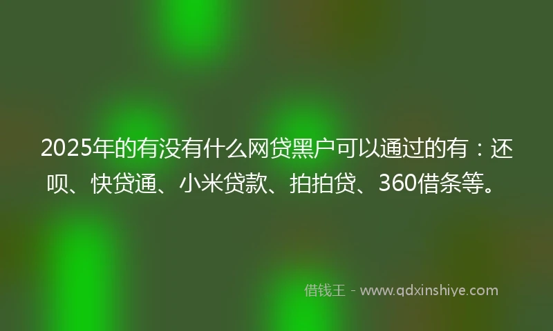 2025年的有没有什么网贷黑户可以通过的有：还呗、快贷通、小米贷款、拍拍贷、360借条等。