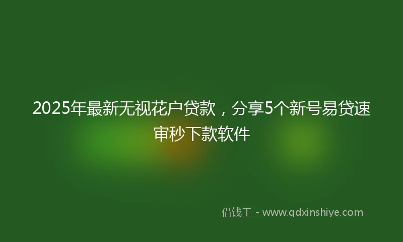 2025年最新无视花户贷款，分享5个新号易贷速审秒下款软件