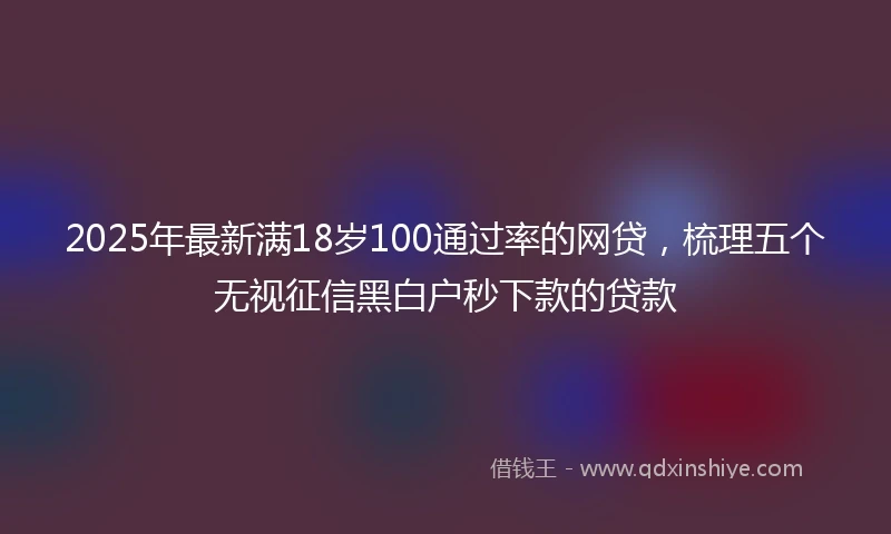 2025年最新满18岁100通过率的网贷，梳理五个无视征信黑白户秒下款的贷款