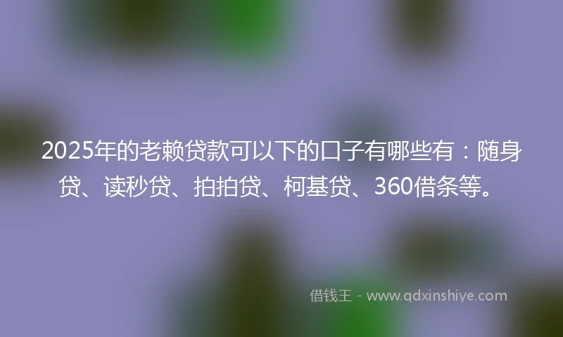 2025年的老赖贷款可以下的口子有哪些有：随身贷、读秒贷、拍拍贷、柯基贷、360借条等。