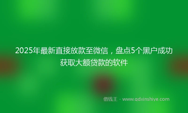 2025年最新直接放款至微信，盘点5个黑户成功获取大额贷款的软件
