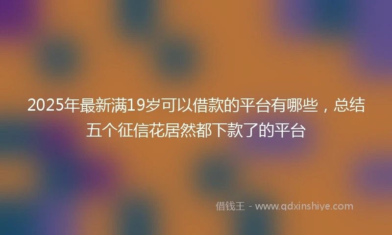 2025年最新满19岁可以借款的平台有哪些，总结五个征信花居然都下款了的平台