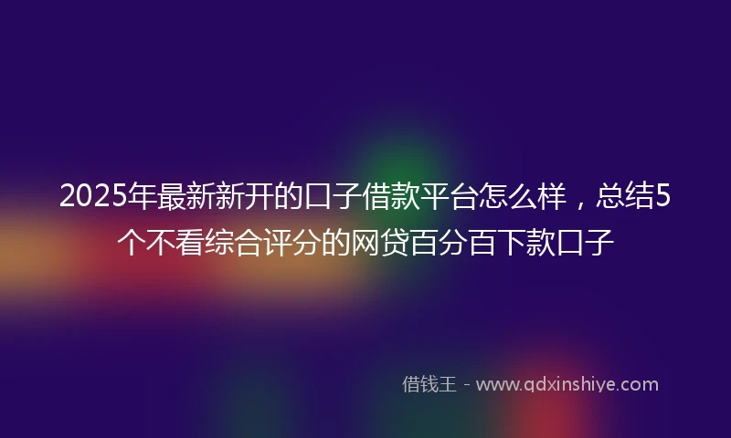 2025年最新新开的口子借款平台怎么样，总结5个不看综合评分的网贷百分百下款口子