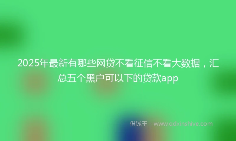 2025年最新有哪些网贷不看征信不看大数据,汇总五个黑户可以下的贷款app