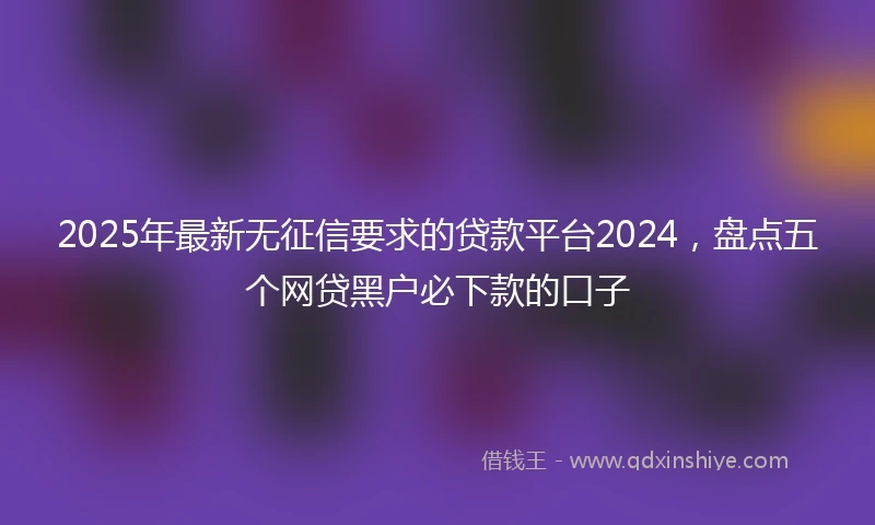 2025年最新无征信要求的贷款平台2024，盘点五个网贷黑户必下款的口子