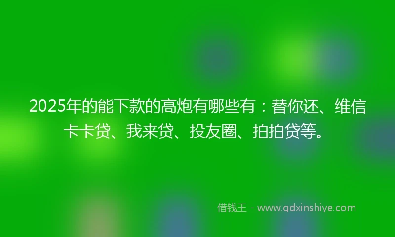 2025年的能下款的高炮有哪些有：替你还、维信卡卡贷、我来贷、投友圈、拍拍贷等。