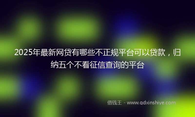 2025年最新网贷有哪些不正规平台可以贷款，归纳五个不看征信查询的平台
