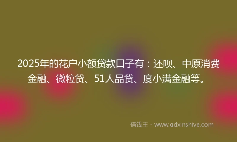 2025年的花户小额贷款口子有：还呗、中原消费金融、微粒贷、51人品贷、度小满金融等。