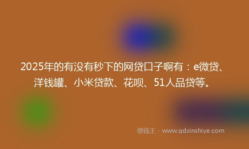 2025年的有没有秒下的网贷口子啊有:e微贷、洋钱罐、小米贷款、花呗、51人品贷等。