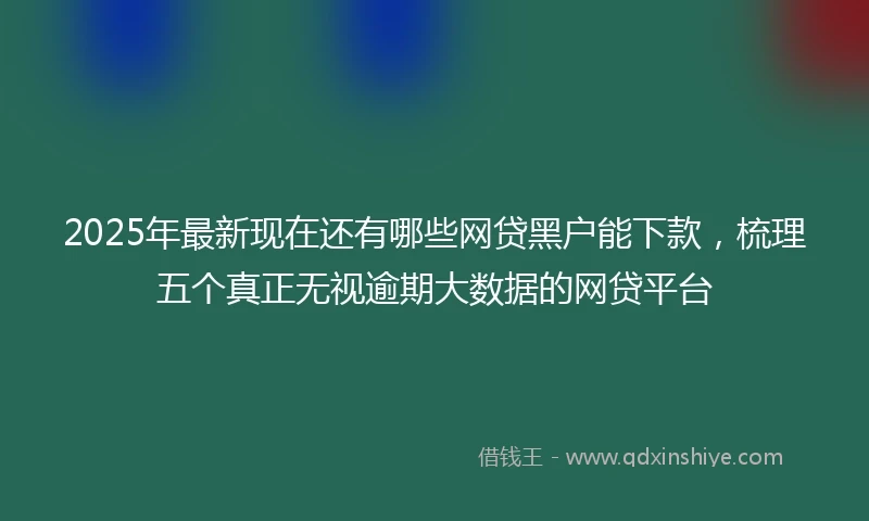 2025年最新现在还有哪些网贷黑户能下款，梳理五个真正无视逾期大数据的网贷平台