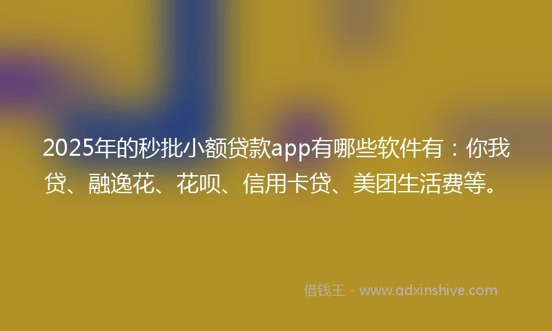 2025年的秒批小额贷款app有哪些软件有：你我贷、融逸花、花呗、信用卡贷、美团生活费等。