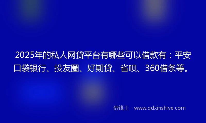 2025年的私人网贷平台有哪些可以借款有：平安口袋银行、投友圈、好期贷、省呗、360借条等。