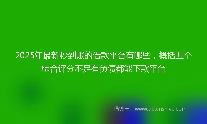 2025年最新秒到账的借款平台有哪些，概括五个综合评分不足有负债都能下款平台